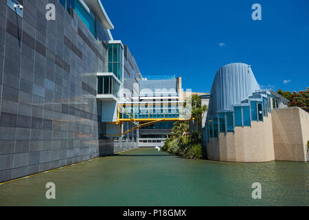 Te Papa Museum di Nuova Zelanda, Wellington, Isola del nord, Nuova Zelanda Foto Stock