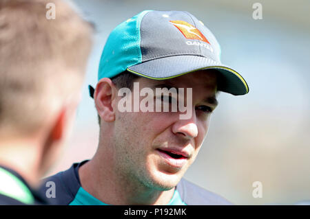 In Australia il capitano Tim Paine durante la sessione di reti presso la Kia ovale, Londra. Foto Stock