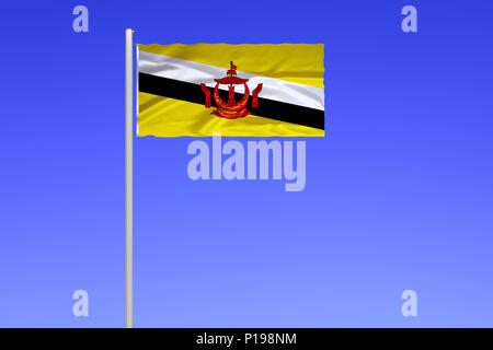 Bandiera del Brunei, il sultanato, Asia sud-orientale, si trova sull'isola del Borneo, Flagge von Brunei, Sultanat, Suedostasien, liegt auf der Insel Bo Foto Stock