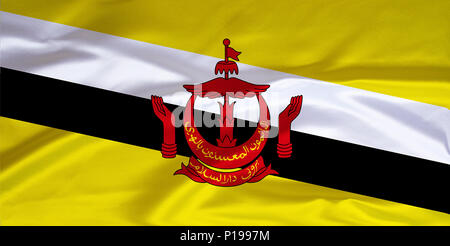 Bandiera del Brunei, il sultanato, Asia sud-orientale, si trova sull'isola del Borneo, Flagge von Brunei, Sultanat, Suedostasien, liegt auf der Insel Bo Foto Stock