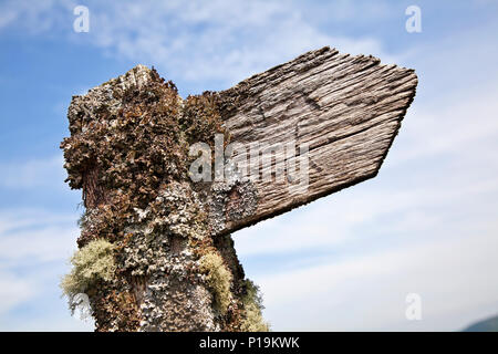 In legno antico segno bridleway ricoperto da muschi e licheni nel Parco Nazionale di Brecon Beacons, Wales, Regno Unito Foto Stock