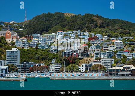 Boatsheds, Clyde Quay Marina e ville storiche, Oriental Bay, Wellington, Isola del nord, Nuova Zelanda Foto Stock