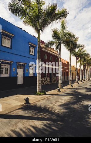 Facciate di case colorate e palme sulla tipica canaria street, Puerto de la Cruz, Tenerife, Spagna. Foto Stock