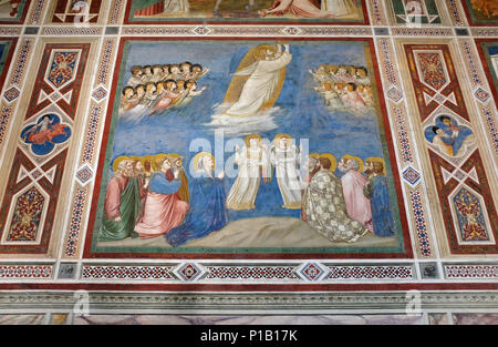 Gli affreschi di Giotto nella Cappella degli Scrovegni, Padova, Italia Foto Stock