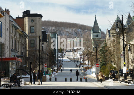 Guardando verso il Mount Royal, zona pedonale della McTavish street tra Sherbrooke e Dr Penfield. Il centro cittadino di Montreal, provincia del Québec in Canada. Foto Stock