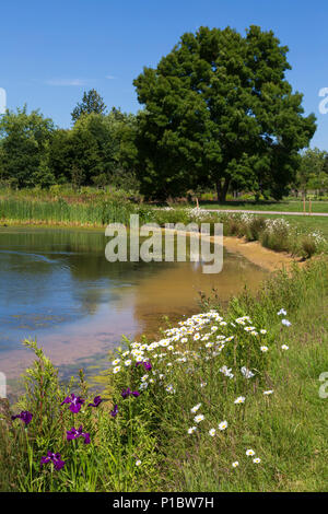 Lago inferiore ad RHS Gardens Hyde Hall in Essex su un soleggiato giugno mattina con fiori selvatici Foto Stock