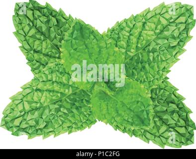 Poligonale vettore realistico di foglie di menta fresca su sfondo bianco Illustrazione Vettoriale