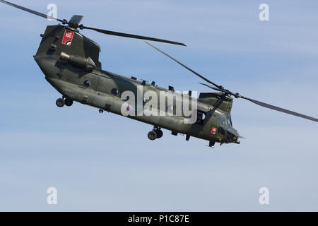 Boeing Chinook trasporto militare elicottero della Royal Air Force che lo usano per fornire battlefield airlift Foto Stock