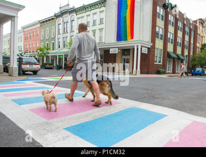 Un uomo cammina i suoi cani, al di fuori della Hudson Valley LGBTQ Comunità centro di Kingston, New York, la crosswalks sono dipinte con i colori del Gay Pride e transgender bandiera, e l'originale Gay Pride bandiera sporting otto colori vola fuori sede Foto Stock