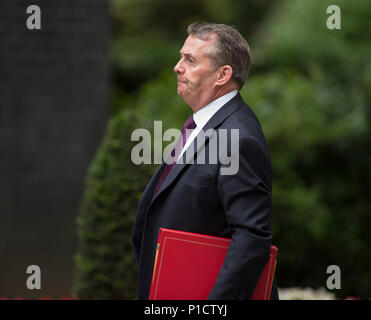 A Downing Street, Londra, Regno Unito. Il 12 giugno 2018. Liam Fox, segretario di Stato per il commercio internazionale di Downing Street per settimanale riunione del gabinetto. Credito: Malcolm Park/Alamy Live News. Foto Stock