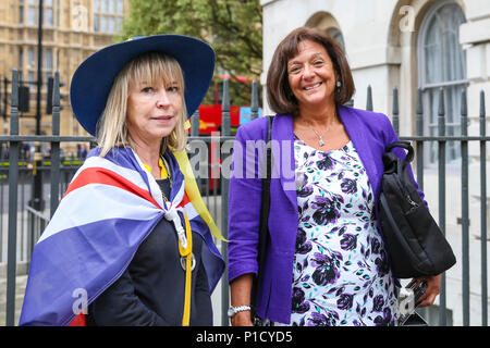 Westminster, Londra, Regno Unito, 12 giugno 2018. L'onorevole baronessa Altmann conservativa (Tory) peer Ros Altman pone con un anti Brexit sostenitore. Anti-Brexit manifestanti da SODEM al 'Stop Brexit' protestare fuori le case del Parlamento. Credito: Imageplotter News e sport/Alamy Live News Foto Stock