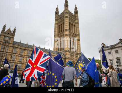 Westminster, Londra, Regno Unito, 12 giugno 2018. Anti-Brexit manifestanti da SODEM, 'Stop Brexit', gli scienziati in Europa e in altri pro organizzazioni europee protestare fuori le case del Parlamento sul primo dei due giorni di voto decisivo in House of Commons sugli emendamenti del ritiro dell'UE Bill. I manifestanti celebrare con 'torte non sta' e il canto come MPs progressi in Parlamento. Credito: Imageplotter News e sport/Alamy Live News Foto Stock