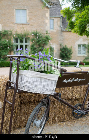 Display floreale in un cesto su un vecchio negozio noleggio a Daylesford fattoria organica summer festival. Daylesford, Cotswolds, Gloucestershire, Regno Unito Foto Stock