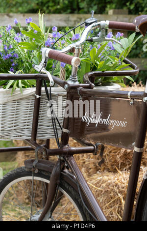 Display floreale in un cesto su un vecchio negozio noleggio a Daylesford fattoria organica summer festival. Daylesford, Cotswolds, Gloucestershire, Regno Unito Foto Stock