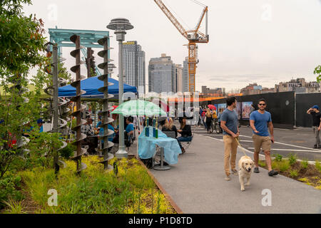 Nonostante il tempo inclemente di migliaia di visitatori accorsi per la grande apertura di Domino Parco nel quartiere di Williamsburg di Brooklyn a New York Domenica, 10 giugno 2018. Occupa il sito del Domino Sugar Co. raffineria, chiusa nel 2004, cinque acri di greenspace ha caratteristiche di acqua, scivoli, una passerella elevata, un Danny Meyer stand alimentari e pallavolo come pure molte altre dotazioni. Progettato da James Corner Field Operations, gli architetti dietro il design della linea alta, la raffineria di mattone di edificio, di cui una volta elaborato il 50 percento di tutto lo zucchero negli Stati uniti rimane per de Foto Stock