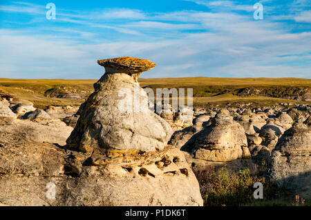 Hoodoos, la scrittura su pietra Parco Provinciale, (noto anche come "ÃÃ-sÃ-nai"pi' dal Blackfoot Nazione) Alberta, Canada Foto Stock