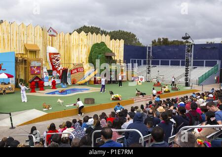 Turisti pubblico che guardano gli animali domestici regola spettacolo teatrale all'aperto dal vivo attrazioni turistiche a San Diego California SeaWorld Parco a tema famoso in tutto il mondo Foto Stock