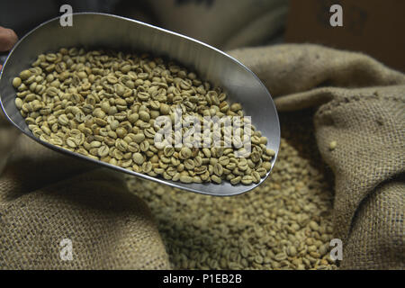 Freschi i chicchi di caffè sulla juta Sacco tessili di composizione Foto Stock