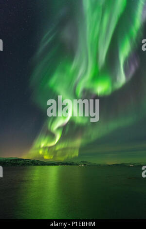 Luci del nord oltre il Stønesbotn di notte, Senja, Norvegia Foto Stock