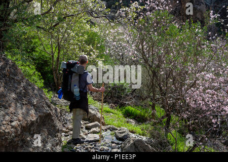Escursionista nella riserva naturale Monumento Naturale del Roque Nublo in primavera, Gran Canaria Isole Canarie Spagna Foto Stock