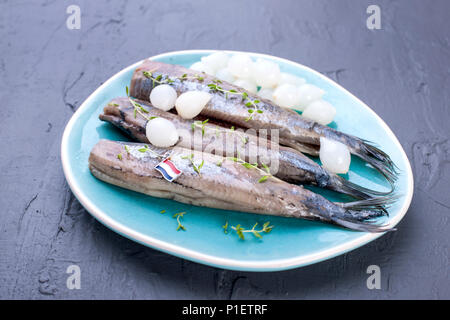 Filetti di aringhe con cipolle su una piastra di blu, una tradizionale delicatezza olandese. Delizioso pasto a base di pesce. Spazio copia. flat laici. Foto Stock