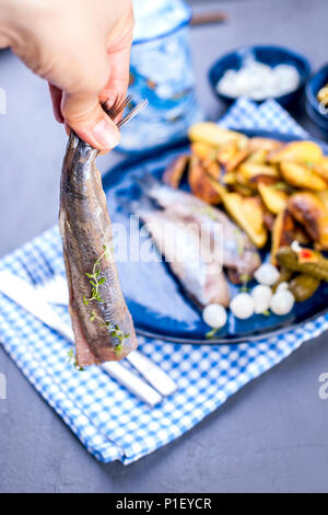 Filetti di aringhe in una femmina di mano, cotta nel forno con patate e cetrioli e cipolle. Delizioso cibo tradizionale di Olanda. Dutch delicatezza su una piastra di blu. Copia sapce. Foto Stock