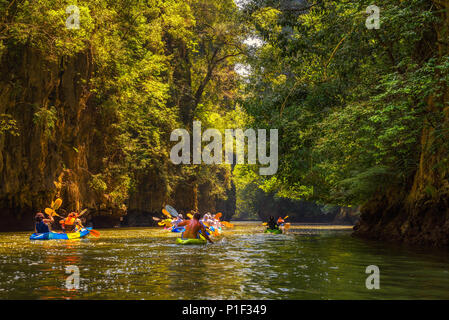 Gruppo di turisti kayak nella giungla di mangrovie Foto Stock