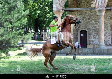 Nis, Serbia - Giugno 10, 2018: Rider su marrone jumping cavalli sul prato in natura. Sport e ricreazione Foto Stock