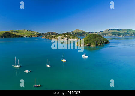 Goat Island, isola di quarantena, Penisola di Otago e porto di Otago, Port Chalmers, Dunedin, Otago, South Island, in Nuova Zelanda - antenna fuco Foto Stock