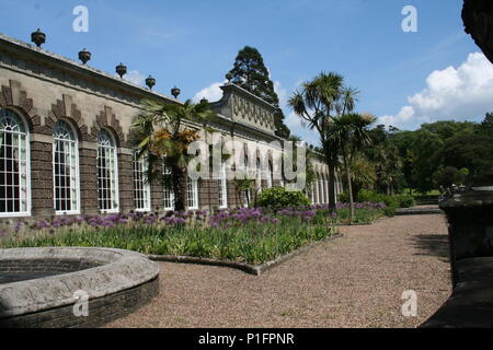 Margam aranciera impostato in margam park, port talbot, Swansea Foto Stock