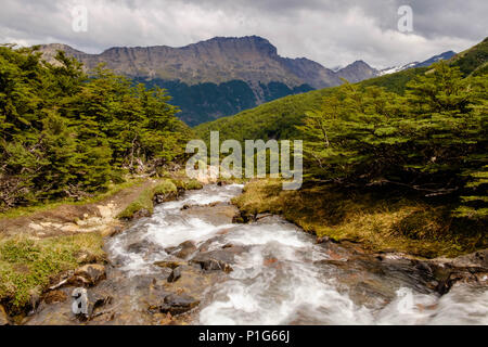L'acqua di un fiume scende velocemente. Un po' più in alto, il fiume nasce dalla Laguna de los Témpanos, una destinazione avventurosa per escursioni vicino a Ushuaia. Foto Stock