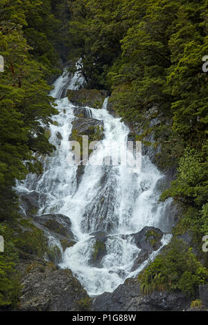 Fiocco cade, Haast Pass, Mt Aspiring National Park, West Coast, Isola del Sud, Nuova Zelanda Foto Stock