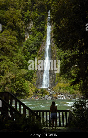 Tourist, Thunder Creek Falls & Haast River, Haast Pass, Mt Aspiring National Park, West Coast, Isola del Sud, Nuova Zelanda (modello rilasciato) Foto Stock