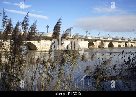 Spagna - Las Bardenas y Tudela (distretto) - NAVARRA. Tudela; puente medieval de origen árabe sobre el Rio Ebro. Foto Stock