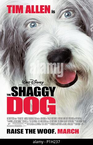 Pellicola originale titolo: il cane Shaggy. Titolo inglese: il cane Shaggy. Regista: Brian Robbins. Anno: 2006. Credito: Disney Enterprises / Album Foto Stock