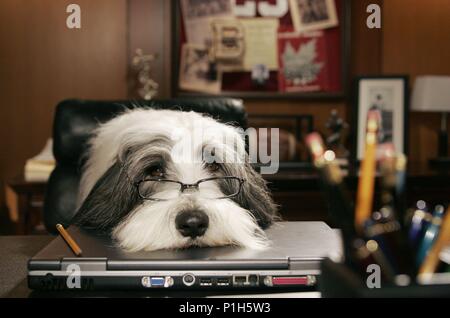 Pellicola originale titolo: il cane Shaggy. Titolo inglese: il cane Shaggy. Regista: Brian Robbins. Anno: 2006. Credito: Disney Enterprises / LEDERER, Giuseppe / Album Foto Stock