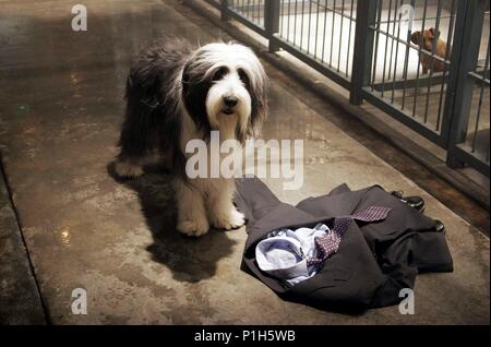 Pellicola originale titolo: il cane Shaggy. Titolo inglese: il cane Shaggy. Regista: Brian Robbins. Anno: 2006. Credito: Disney Enterprises / LEDERER, Giuseppe / Album Foto Stock