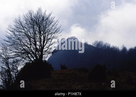 Spagna - Catalogna - Ripollés (distretto) - Gerona. Generano, "Cristo en Majestad' interno Iglesia de Sant Cristófol, románica, altare (Ripollès). Foto Stock