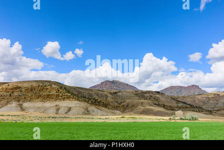 Vista su tutta la prateria e il robusto ondulato paesaggio di Buffalo Bill parco dello stato che mostra le montagne rocciose e agricoltura di Cody, Wyoming negli Stati Uniti. Foto Stock