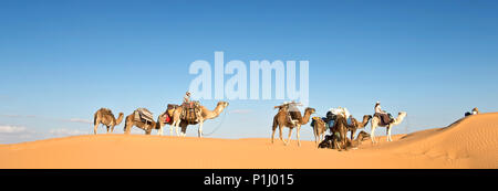 Carovana di cammelli nel dune di sabbia del deserto del Sahara, sud della Tunisia Foto Stock