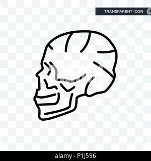 Cranio vista laterale icona vettore isolato su sfondo trasparente, cranio vista laterale il concetto di logo Illustrazione Vettoriale