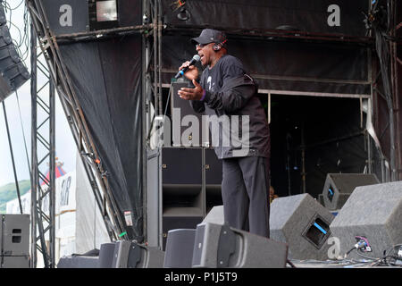 Chris Amoo della cosa reale eseguire presso il Festival Wychwood, Cheltenham, Regno Unito. Giugno 1, 2018 Foto Stock