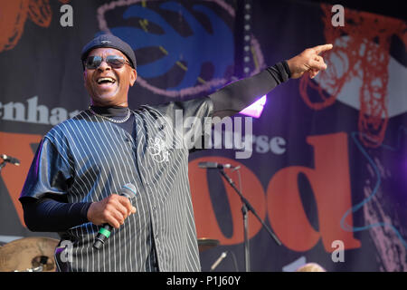 Dave Smith della cosa reale eseguire presso il Festival Wychwood, Cheltenham, Regno Unito. Giugno 1, 2018 Foto Stock