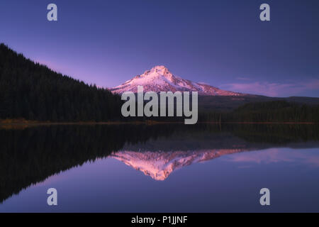 Riflessioni sulla Trillium Lago con il vulcano del Monte Cofano, Clackamas County, Oregon, Stati Uniti d'America Foto Stock
