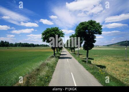 Cerca de Burgos; Sierra de Atapuercas. Foto Stock