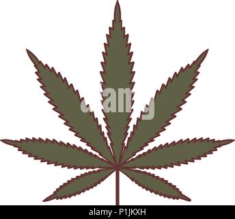 La marijuana o cannabis leaf. La cannabis medica. Vector Silhouette di una foglia di canapa. Vintage Marijuana etichetta logo design modello. Icona di erbaccia. Vector illust Illustrazione Vettoriale