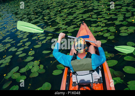 L'uomo kayak, paletta oscillante in aria a fiume con un sacco di ninfee, vista posteriore, ad alto angolo di visione Foto Stock