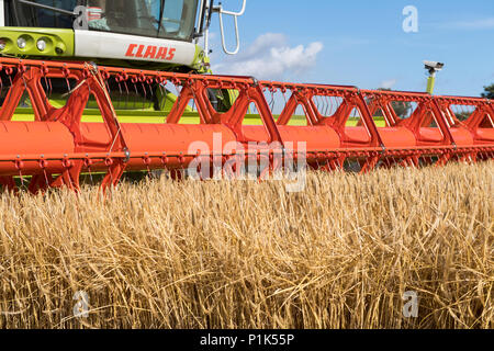 Close up di un Claas V900 35ft testata della mietitrebbia con telecamere collegate al lavoro, la raccolta di orzo. North Yorkshire, Regno Unito. Foto Stock