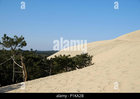 Dune di Pilat, La Teste de Buch, Arachon, Nouvelle-Aquitaine, Francia Foto Stock