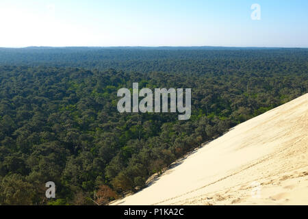 Dune di Pilat e paesaggio forestale, La Teste de Buch, Arachon, Nouvelle-Aquitaine, Francia Foto Stock